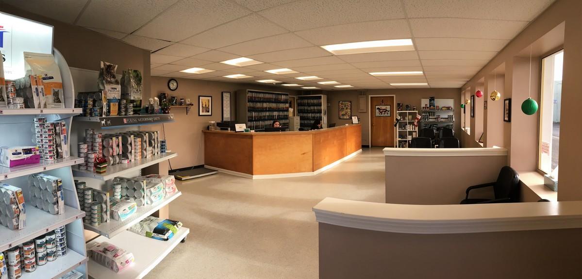 Pet Doctor in Portland, OR Mt. Scott Animal Clinic